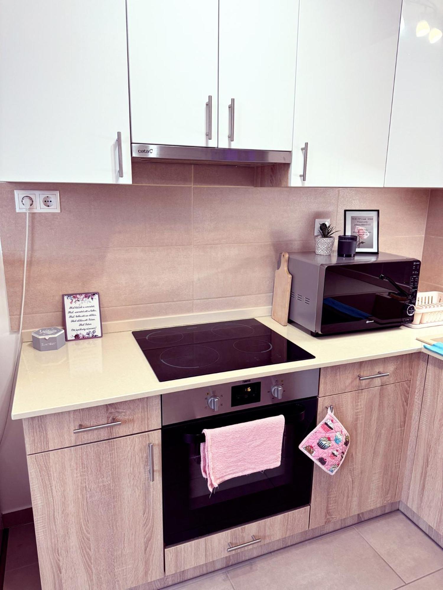 Apartament Exclusive Family Apartman Pécs Zewnętrze zdjęcie